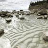 Westcoast Beaches